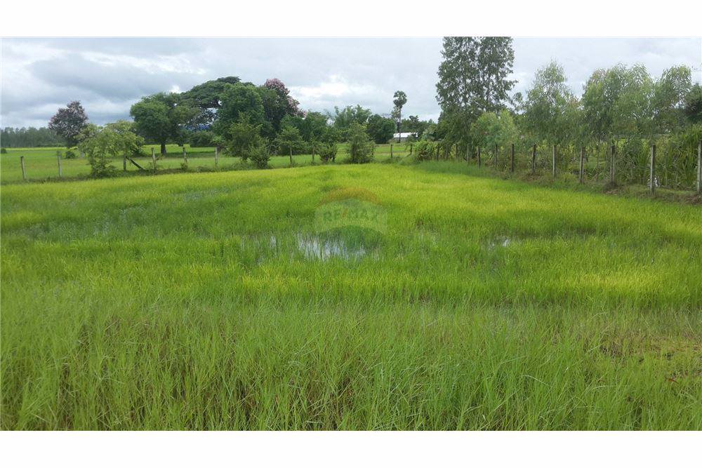 ขายที่ดิน-23-ไร่-947-ตารางวา-หน้ากว้างประมาณ-529-เมตร-ติดถนนสกลนคร-นาแก