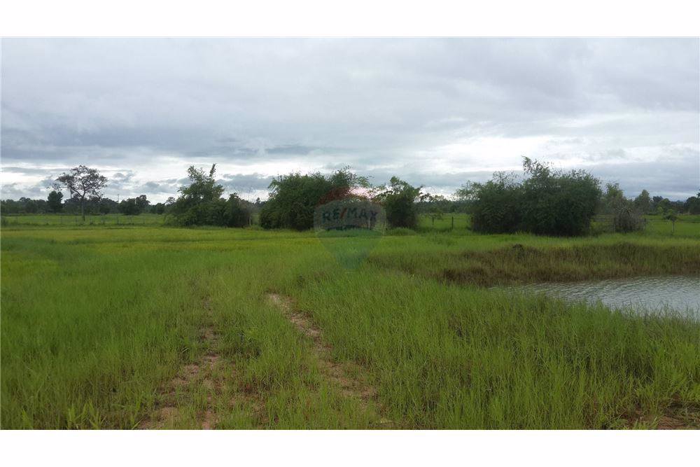 ขายที่ดิน-23-ไร่-947-ตารางวา-หน้ากว้างประมาณ-529-เมตร-ติดถนนสกลนคร-นาแก