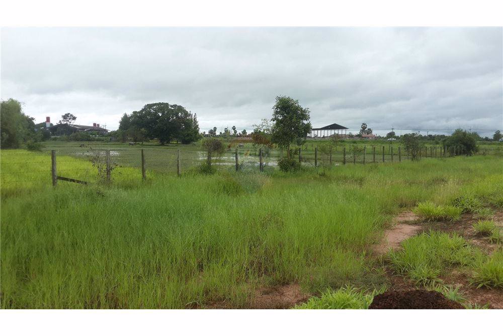 ขายที่ดิน-23-ไร่-947-ตารางวา-หน้ากว้างประมาณ-529-เมตร-ติดถนนสกลนคร-นาแก