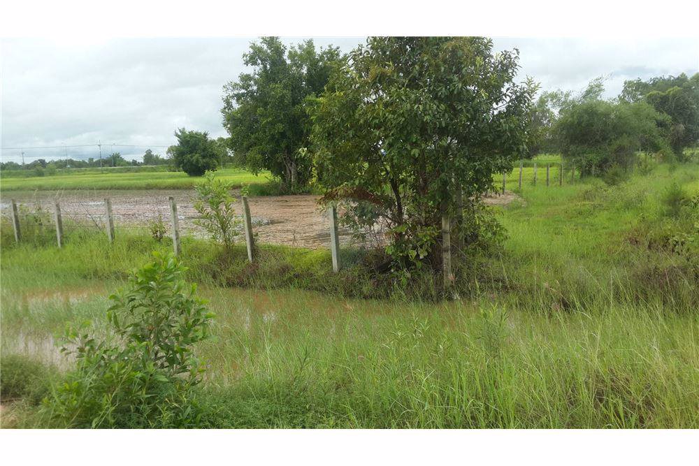 ขายที่ดิน-23-ไร่-947-ตารางวา-หน้ากว้างประมาณ-529-เมตร-ติดถนนสกลนคร-นาแก