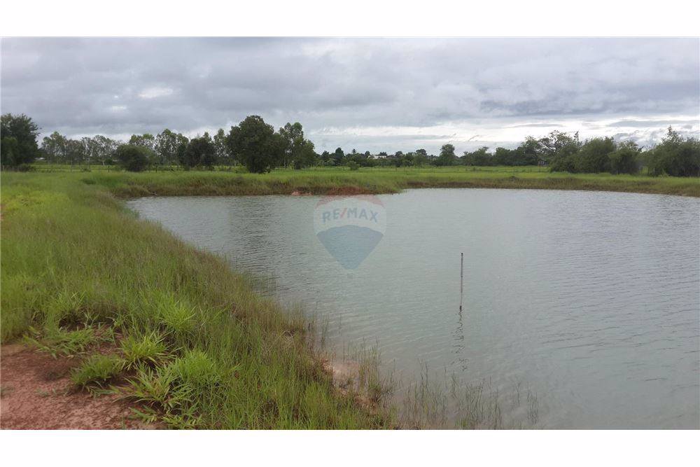 ขายที่ดิน-23-ไร่-947-ตารางวา-หน้ากว้างประมาณ-529-เมตร-ติดถนนสกลนคร-นาแก