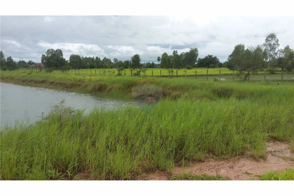 ขายที่ดิน-23-ไร่-947-ตารางวา-หน้ากว้างประมาณ-529-เมตร-ติดถนนสกลนคร-นาแก