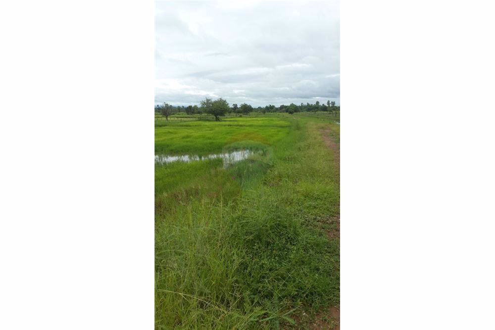 ขายที่ดิน-23-ไร่-947-ตารางวา-หน้ากว้างประมาณ-529-เมตร-ติดถนนสกลนคร-นาแก