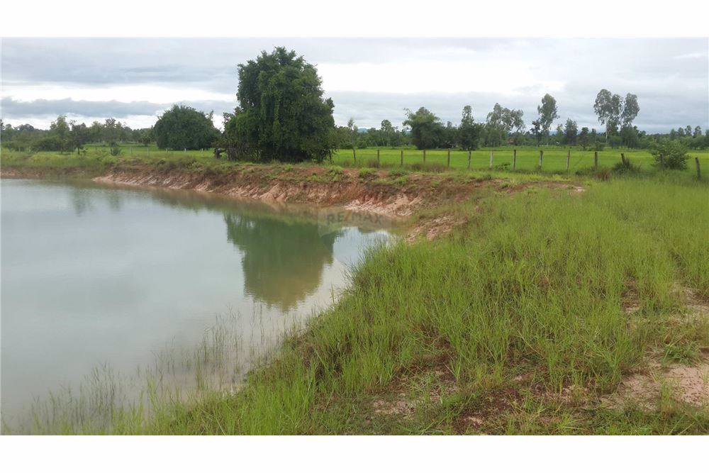 ขายที่ดิน-23-ไร่-947-ตารางวา-หน้ากว้างประมาณ-529-เมตร-ติดถนนสกลนคร-นาแก