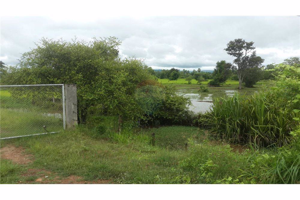 ขายที่ดิน-23-ไร่-947-ตารางวา-หน้ากว้างประมาณ-529-เมตร-ติดถนนสกลนคร-นาแก