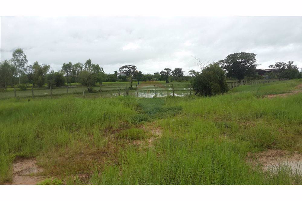 ขายที่ดิน-23-ไร่-947-ตารางวา-หน้ากว้างประมาณ-529-เมตร-ติดถนนสกลนคร-นาแก