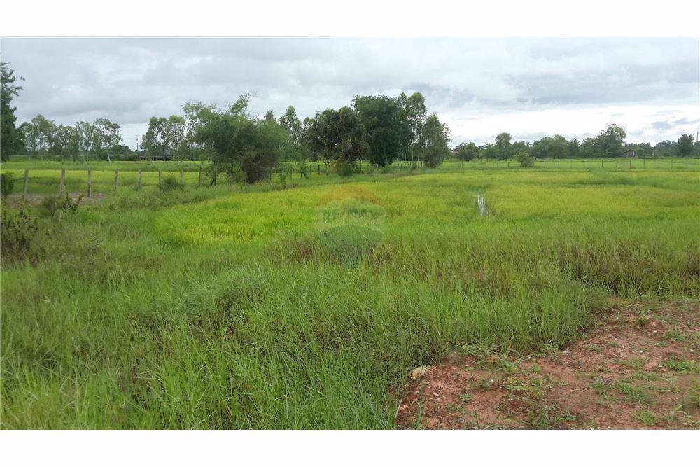 ขายที่ดิน-23-ไร่-947-ตารางวา-หน้ากว้างประมาณ-529-เมตร-ติดถนนสกลนคร-นาแก