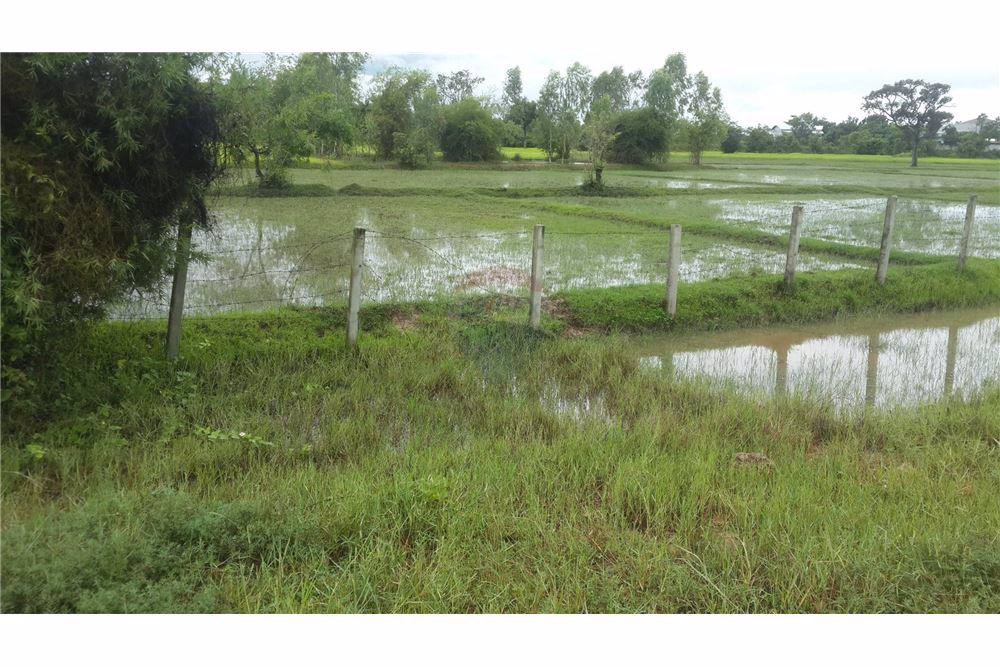 ขายที่ดิน-23-ไร่-947-ตารางวา-หน้ากว้างประมาณ-529-เมตร-ติดถนนสกลนคร-นาแก