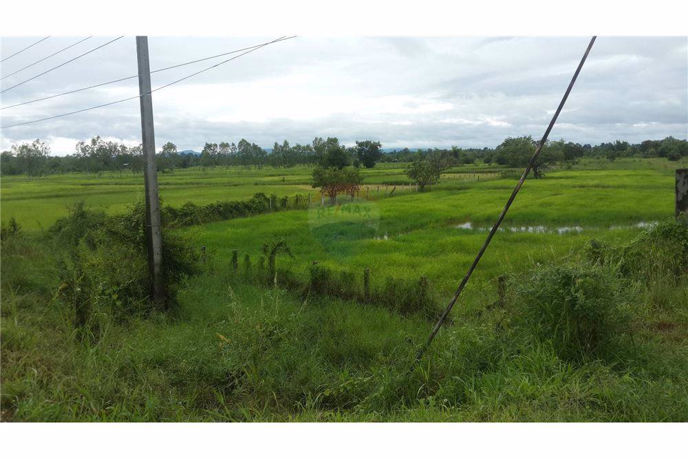 ขายที่ดิน-23-ไร่-947-ตารางวา-หน้ากว้างประมาณ-529-เมตร-ติดถนนสกลนคร-นาแก