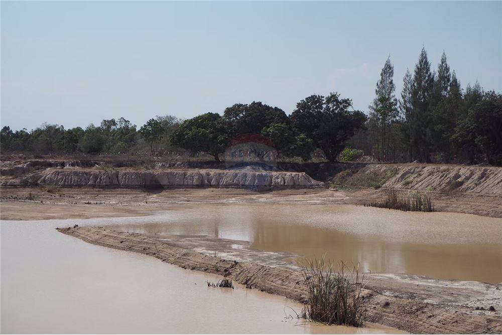 ขายที่ดิน-49-3-0-ไร่-ใกล้วัดไร่มะม่วงถนนเพชรเกษม-อชะอำ-จเพชรบุรี