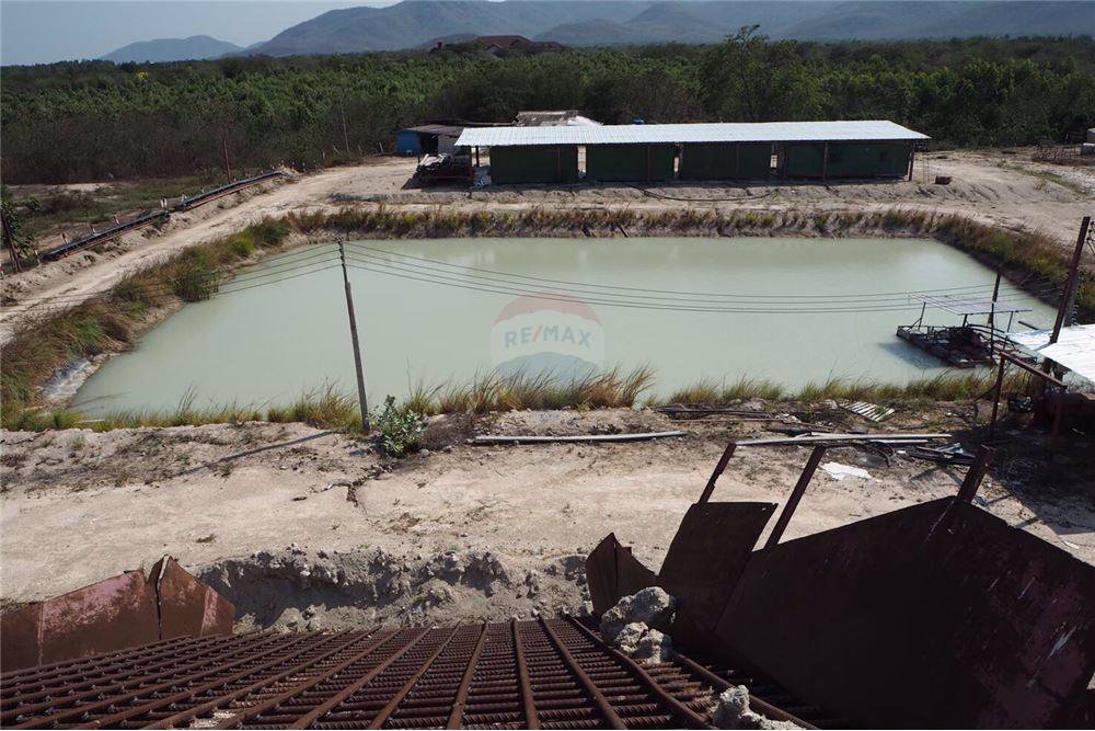 ขายที่ดิน-49-3-0-ไร่-ใกล้วัดไร่มะม่วงถนนเพชรเกษม-อชะอำ-จเพชรบุรี