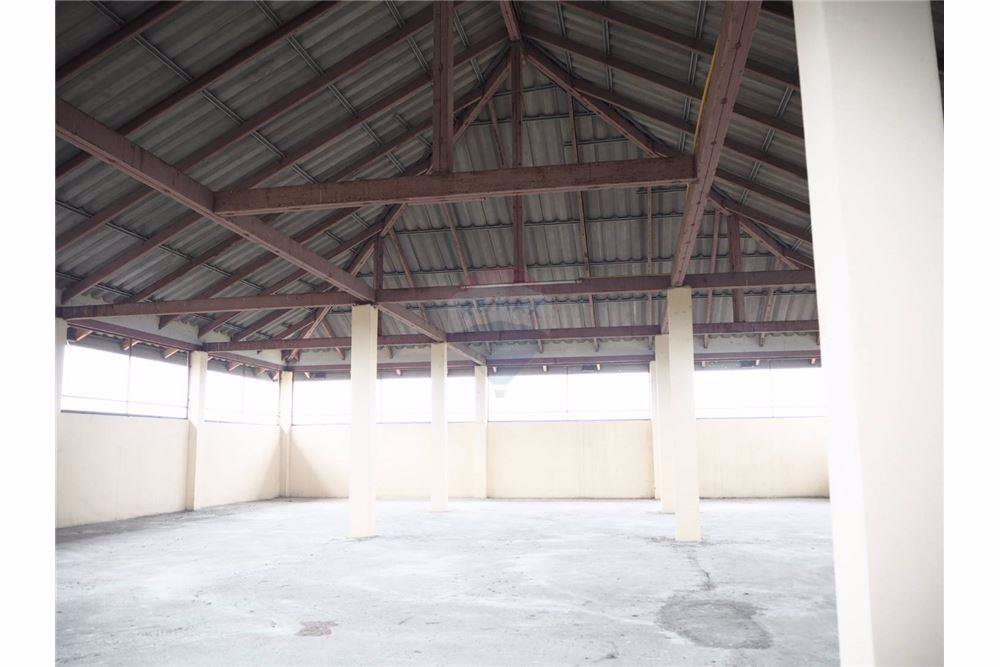 warehouse-and-home-office-ใกล้ตลาดไทราคาถูก-3-ชั้น