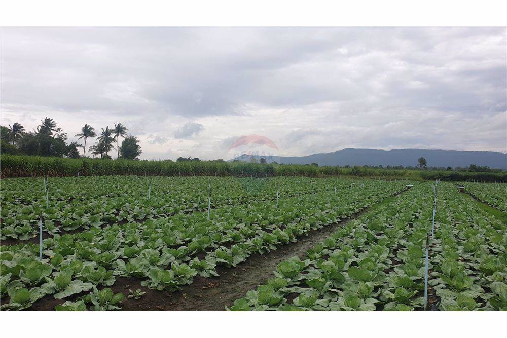 ขายที่ดิน-18-ไร่-1-งาน-ใกล้-โอโซนรีสอร์ท