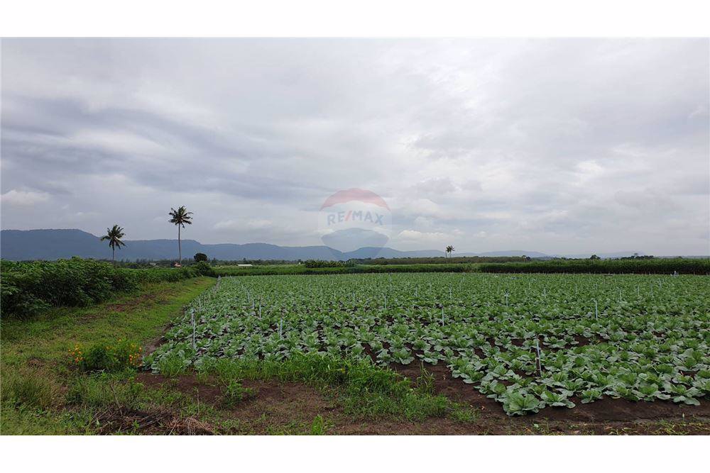 ขายที่ดิน-18-ไร่-1-งาน-ใกล้-โอโซนรีสอร์ท