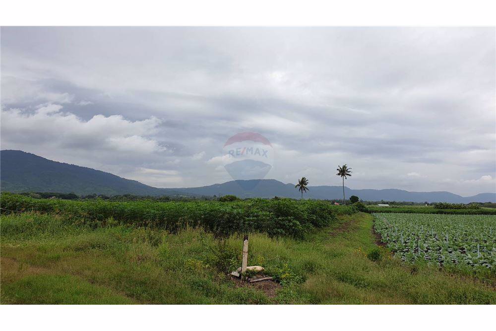 ขายที่ดิน-18-ไร่-1-งาน-ใกล้-โอโซนรีสอร์ท