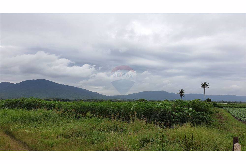 ขายที่ดิน-18-ไร่-1-งาน-ใกล้-โอโซนรีสอร์ท