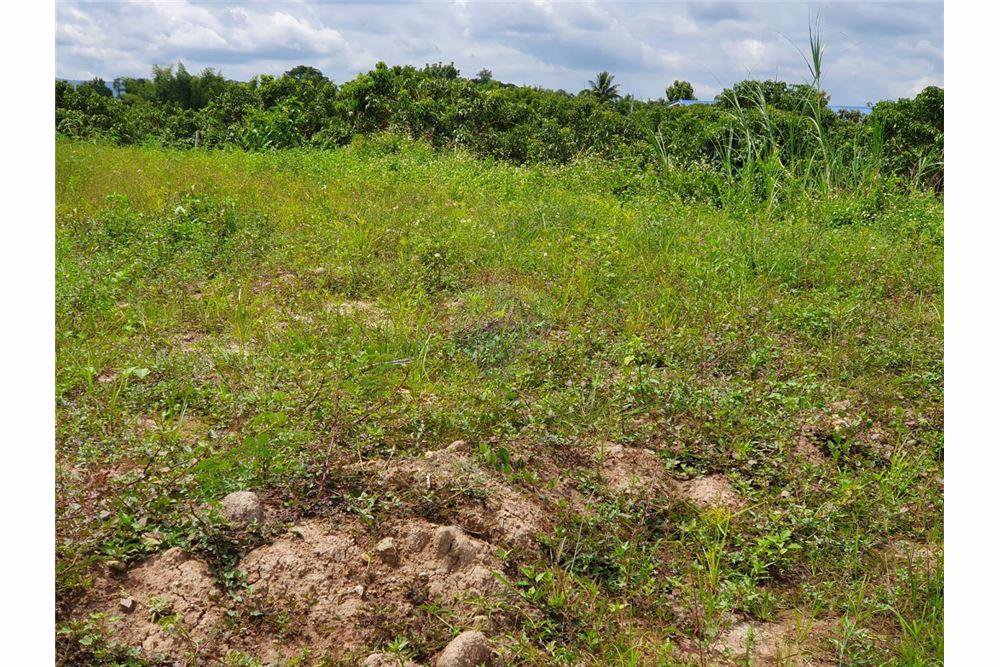 ขายแพ็คคู่​บ้านเดี่ยว​-พื้นที่​​-300-ตรม​-ที่ดิน​2000-ตรม-ที่ดินเปล่า​-ใกล้เขื่อนแม่งัด​