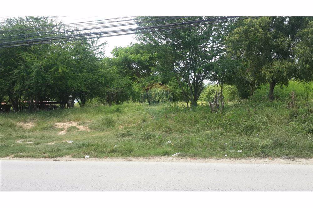 ขายที่ดินเปล่าเนื้อที่-672-ตรวติดถนน-ทำเลดี