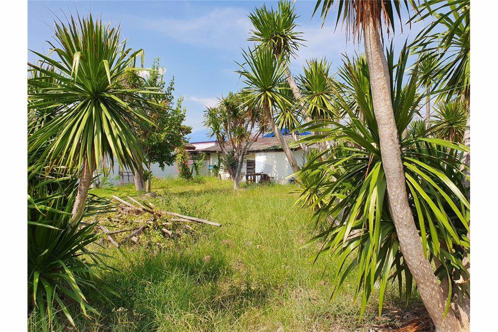 ขายบ้านพร้อมตึกรังนก​7-ไร่​322ตรว​ถธนบุรี-ปากท่อ​ทำเลดีมาก