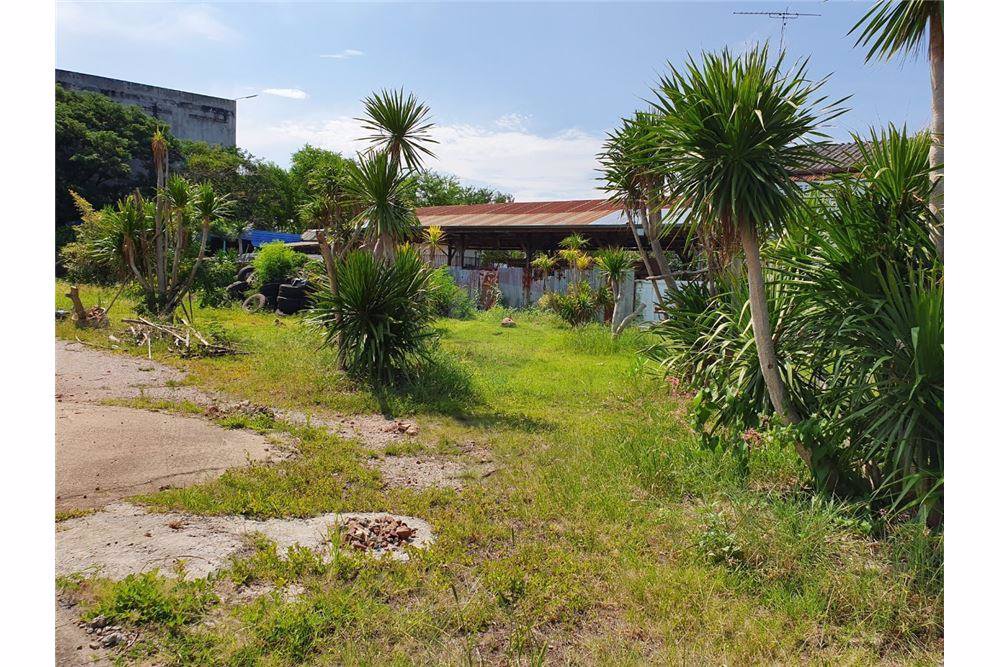 ขายบ้านพร้อมตึกรังนก​7-ไร่​322ตรว​ถธนบุรี-ปากท่อ​ทำเลดีมาก