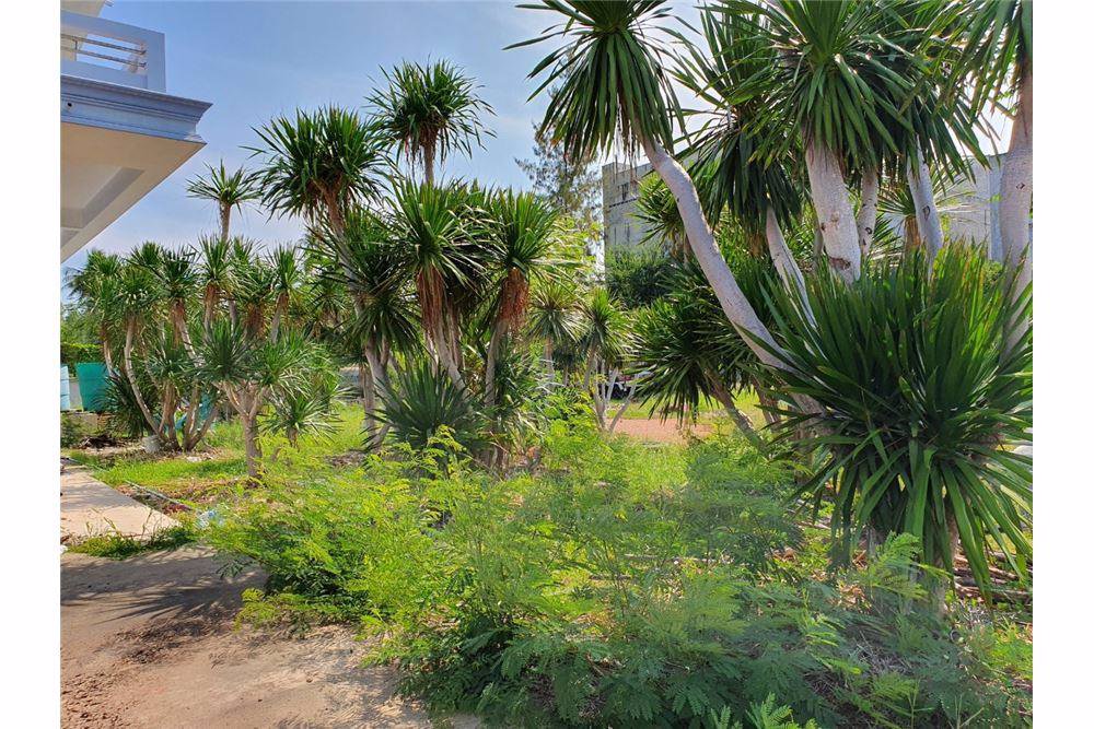 ขายบ้านพร้อมตึกรังนก​7-ไร่​322ตรว​ถธนบุรี-ปากท่อ​ทำเลดีมาก