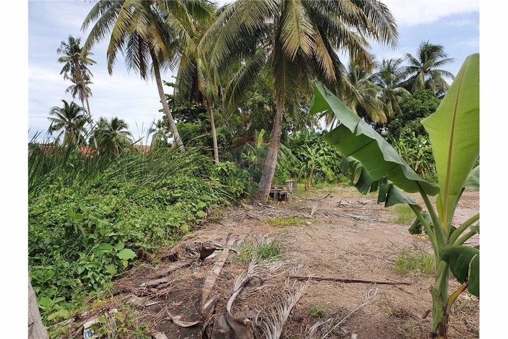 ขายที่ดิน2ไร่-64ตรว-ติดคลองบางกอกน้อย-15900000-บาท-ต่อรองราคาได้-ยังไม่ได้ถม-วิวดี-คลองสะอาด