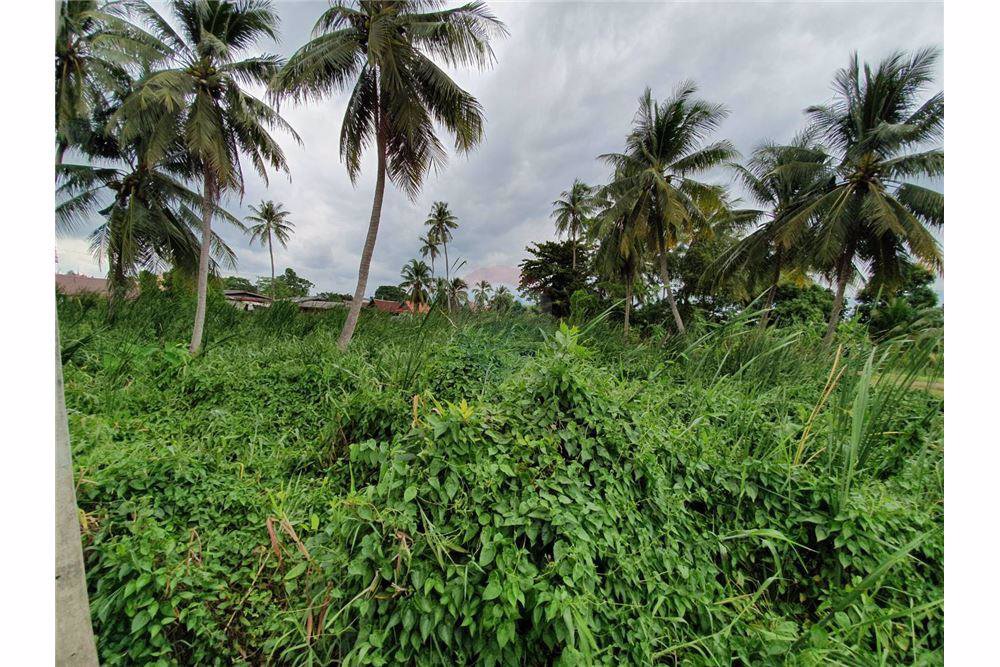 ขายที่ดิน2ไร่-64ตรว-ติดคลองบางกอกน้อย-15900000-บาท-ต่อรองราคาได้-ยังไม่ได้ถม-วิวดี-คลองสะอาด