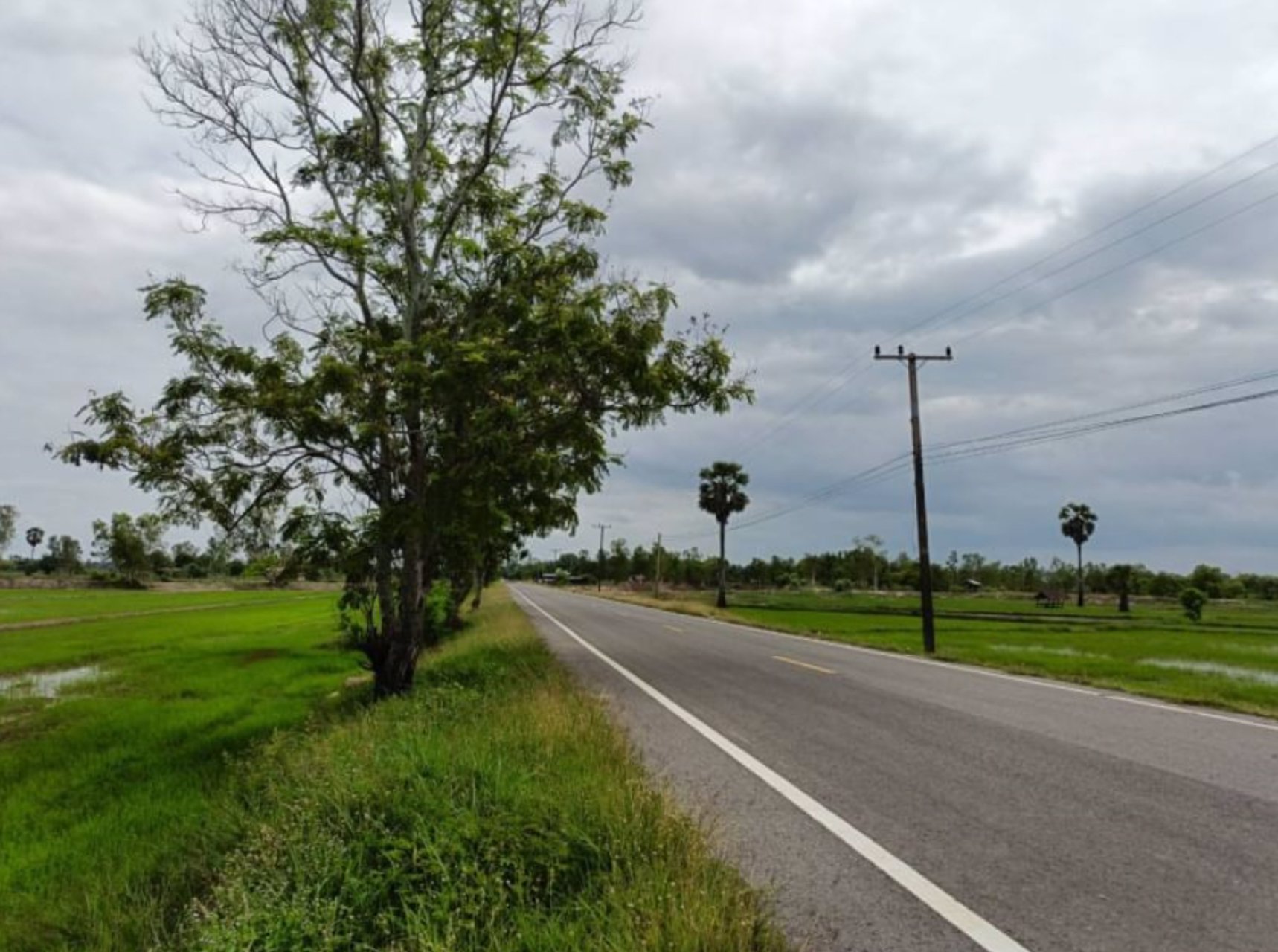 ขายที่นาติดลำห้วยสาธารณะประโยชน์-7ไร่-ติดถนนลาดยาง-มีน้ำไฟฟ้า