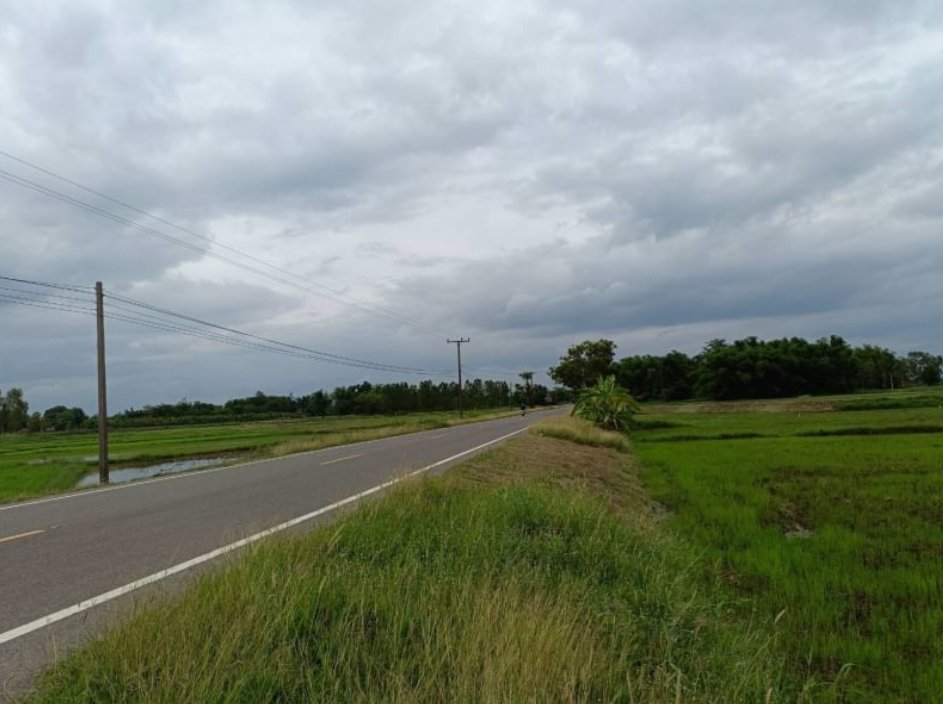 ขายที่นาติดลำห้วยสาธารณะประโยชน์-7ไร่-ติดถนนลาดยาง-มีน้ำไฟฟ้า