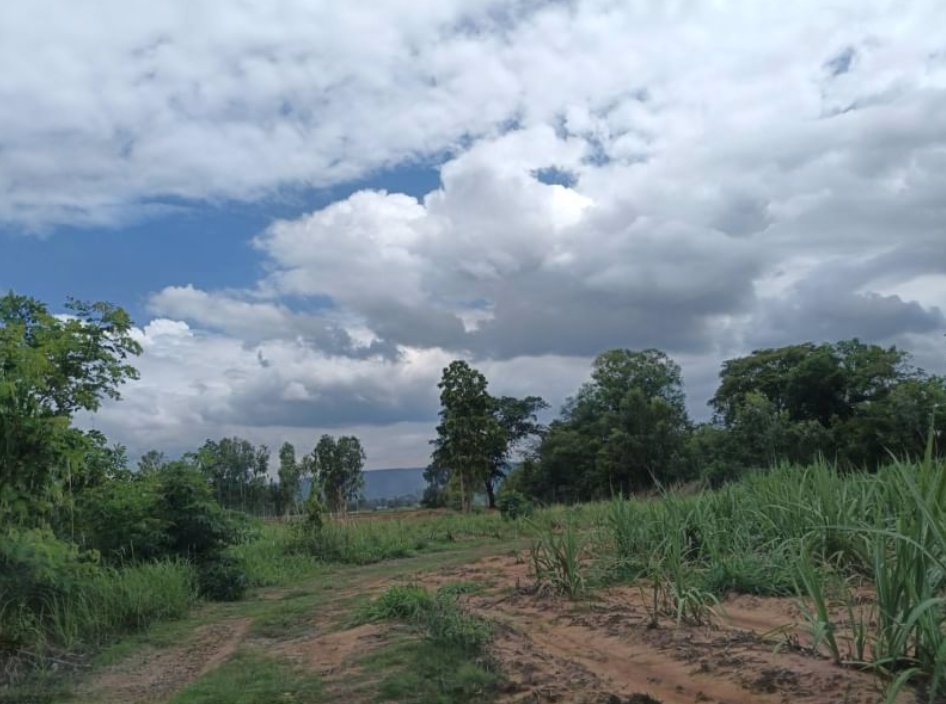 ขายที่ดิน-ทางเข้าเยื้องร้านยางนาช็อป-เนื้อที่-2ไร่