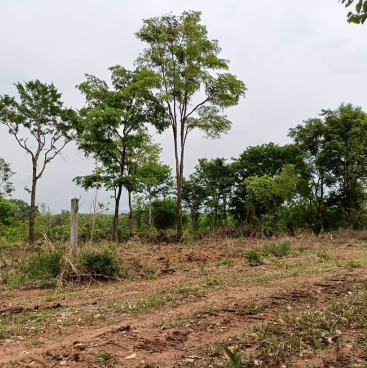 ขายที่ดิน-ทางเข้าเยื้องร้านยางนาช็อป-เนื้อที่-2ไร่