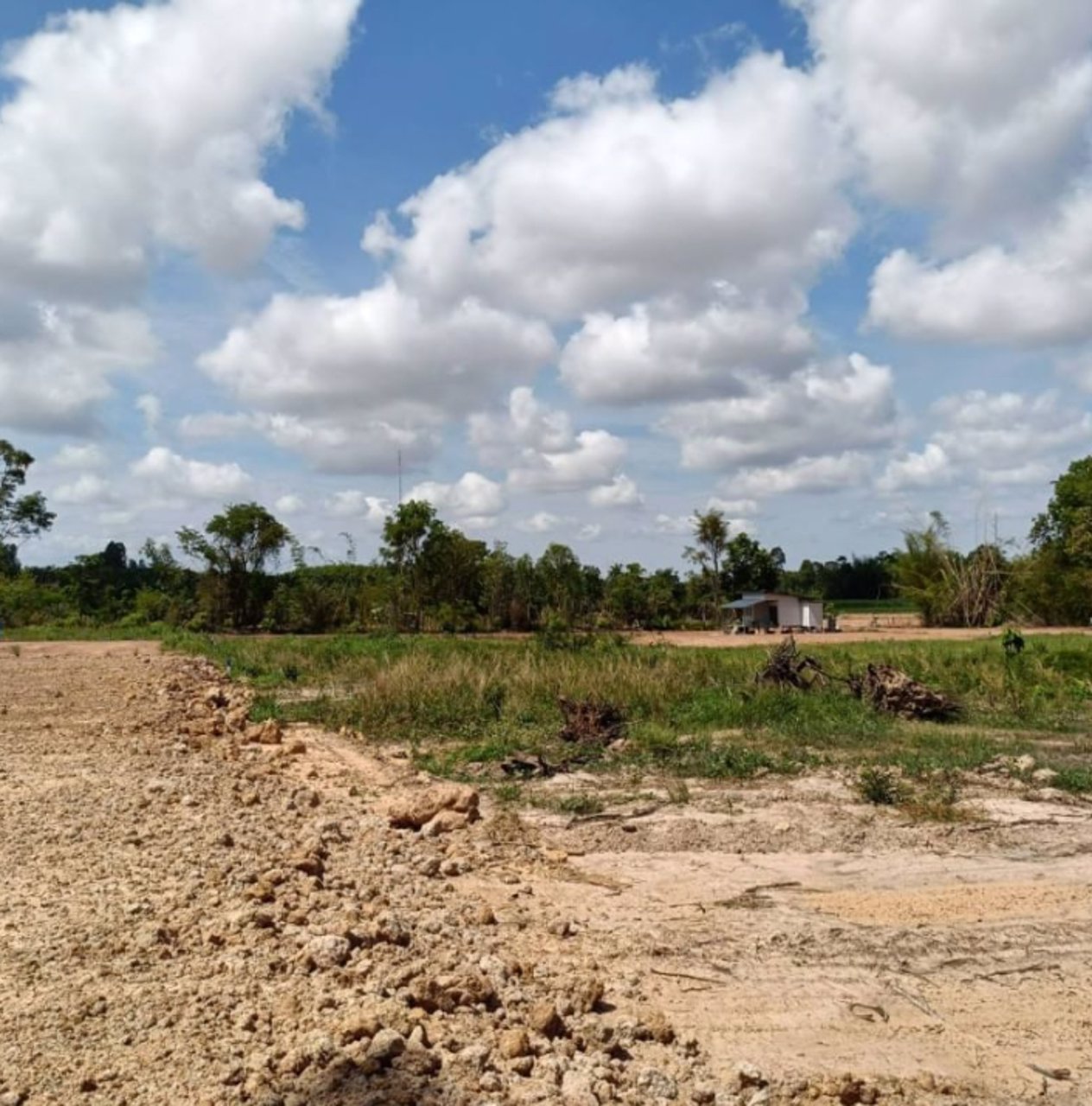 ขายที่ดิน-ทางเข้าเยื้องร้านยางนาช็อป-เนื้อที่-2ไร่