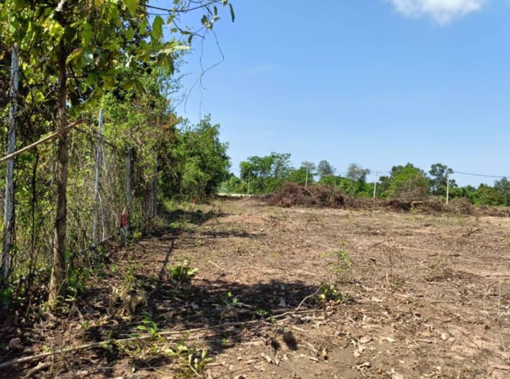 ขายที่ดิน-12ไร่-แบ่งขาย-ในเมืองหนองคาย-100-ตรว