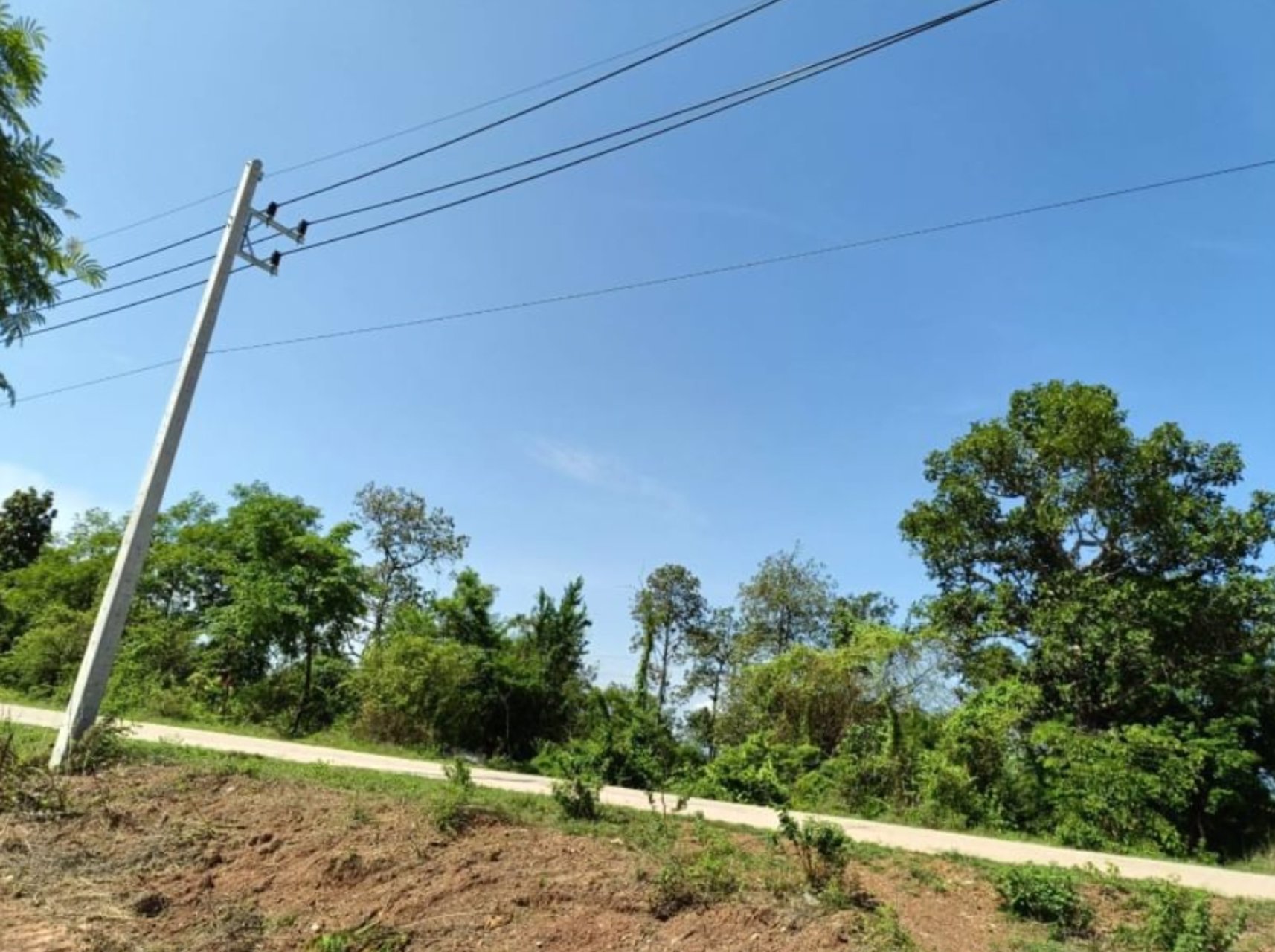 ขายที่ดิน-12ไร่-แบ่งขาย-ในเมืองหนองคาย-100-ตรว