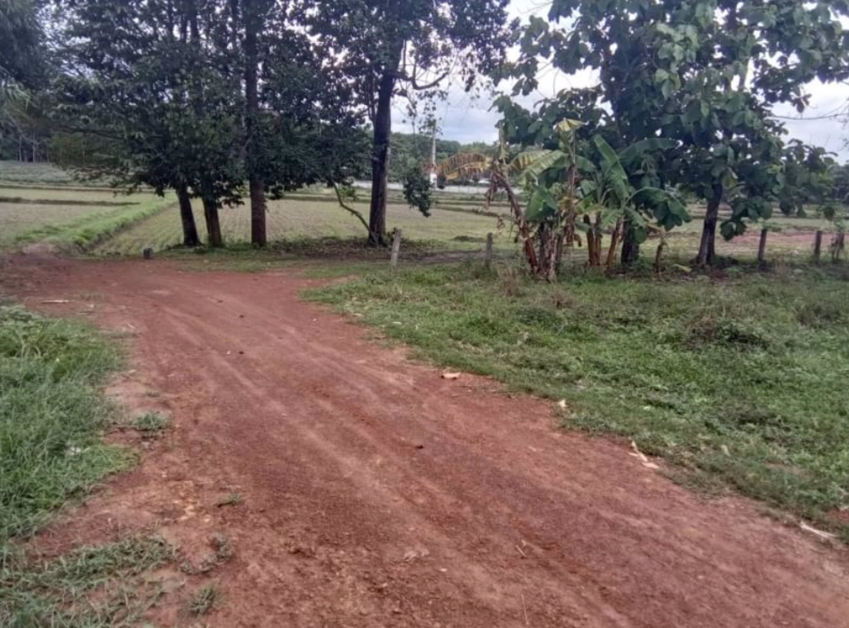 ขายที่ดิน-12ไร่-แบ่งขาย-ในเมืองหนองคาย-100-ตรว