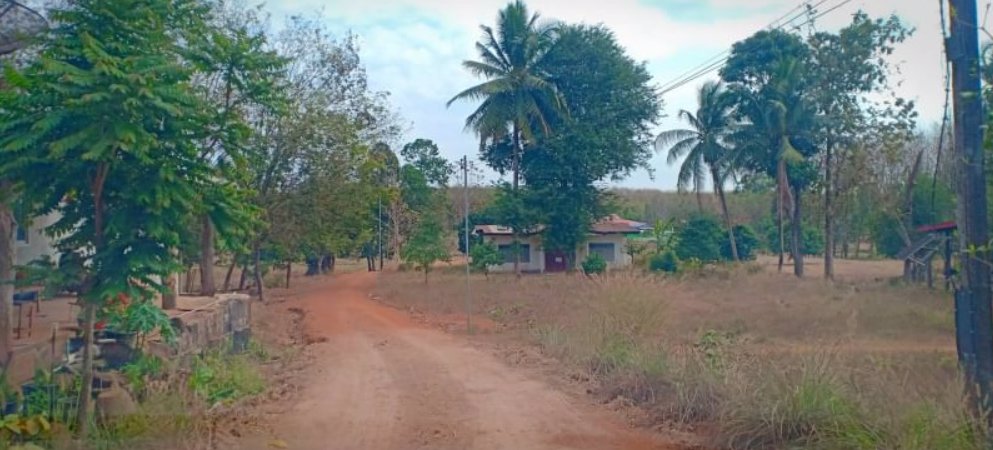 ขายที่ดิน-12ไร่-แบ่งขาย-ในเมืองหนองคาย-100-ตรว