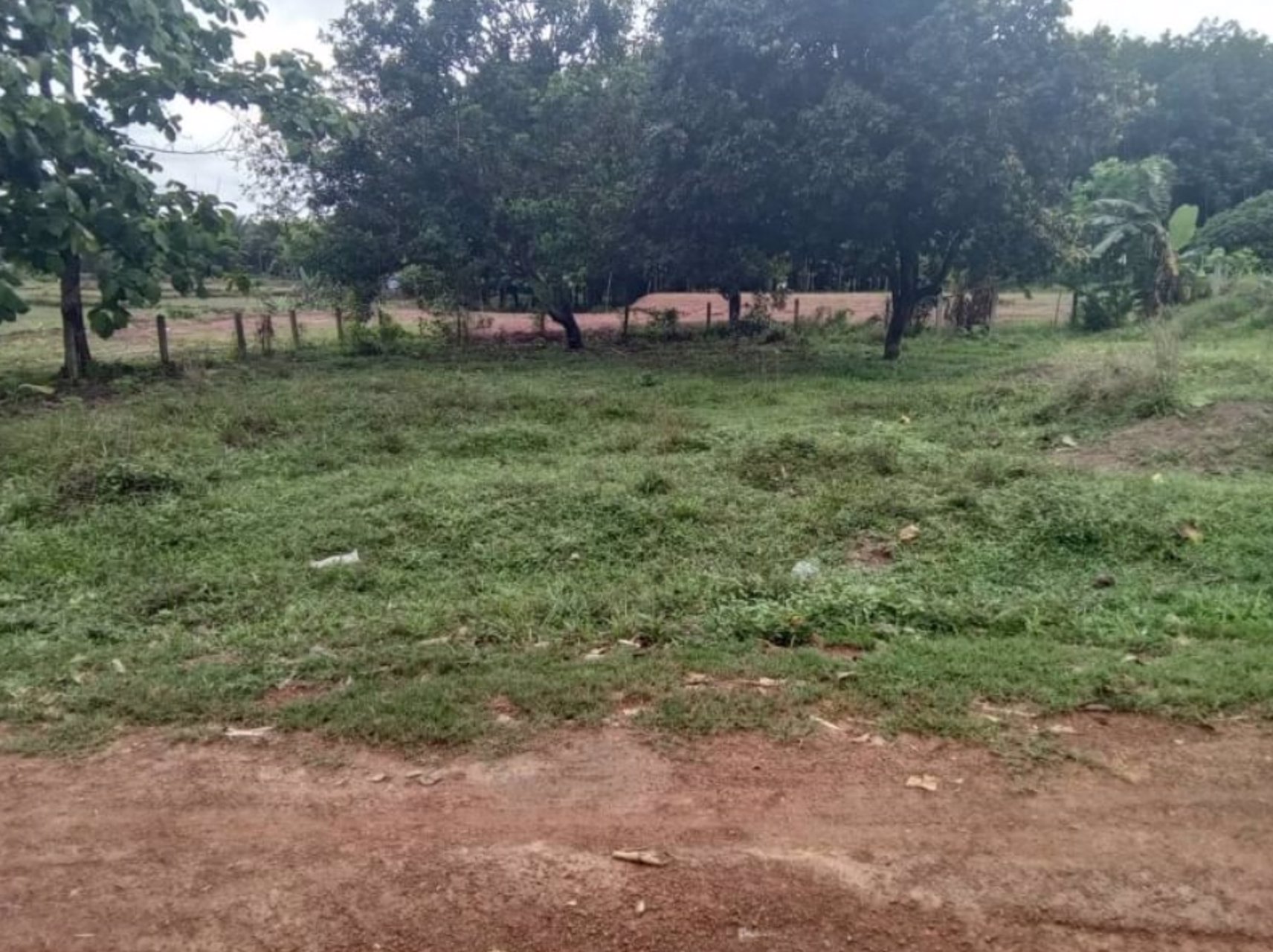 ขายที่ดิน-12ไร่-แบ่งขาย-ในเมืองหนองคาย-100-ตรว