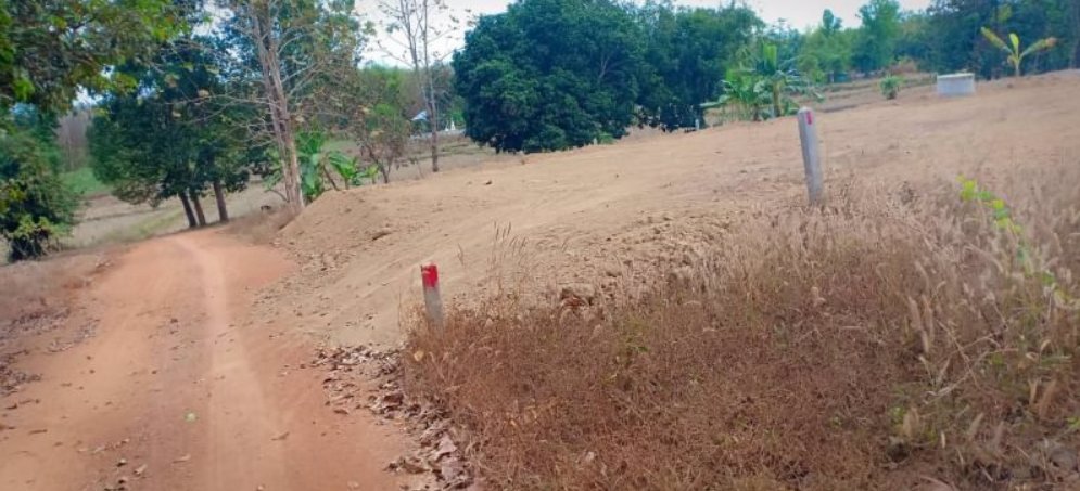 ขายที่ดิน-12ไร่-แบ่งขาย-ในเมืองหนองคาย-100-ตรว