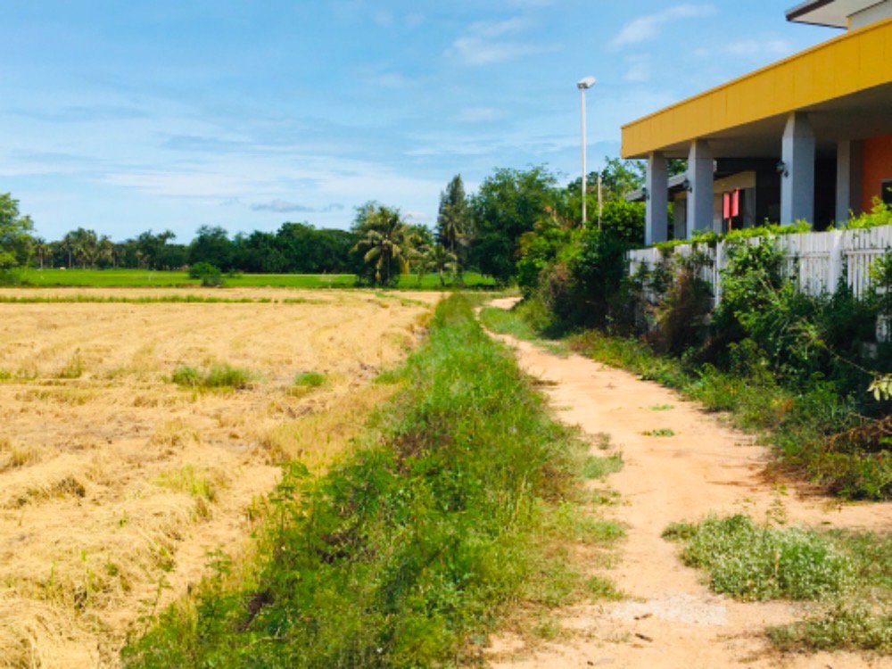 ขายที่ดินชะอำ-4ไร่-ห่างถนนเพชรเกษม100มราคา-6-ล้านบาท