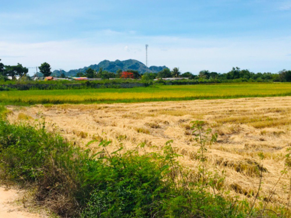 ขายที่ดินชะอำ-4ไร่-ห่างถนนเพชรเกษม100มราคา-6-ล้านบาท