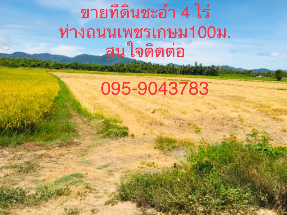 ขายที่ดินชะอำ-4ไร่-ห่างถนนเพชรเกษม100มราคา-6-ล้านบาท