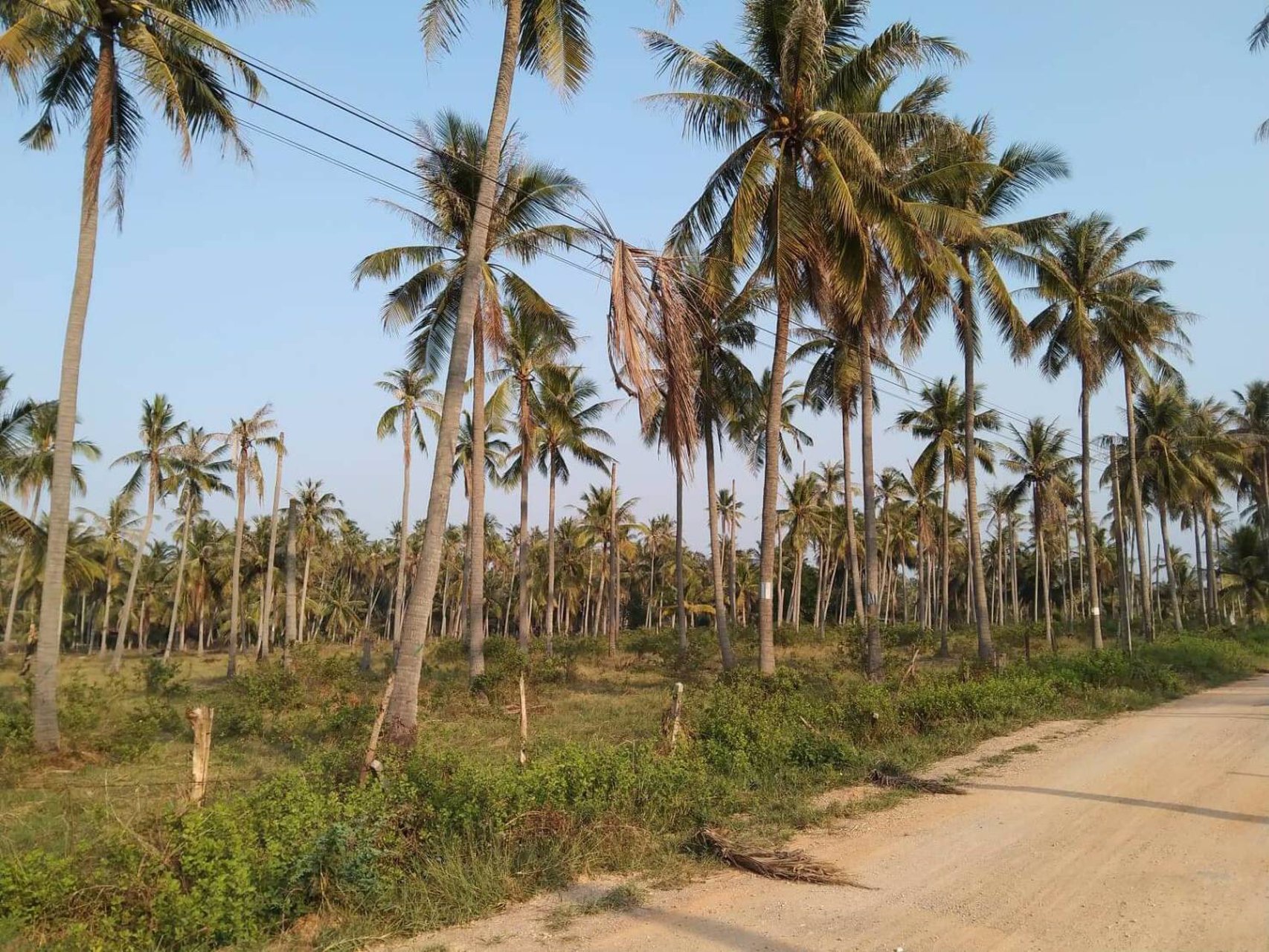 ขายที่ดินที่ดินทับสะแก-ตห้วยยาง-63-ไร่-ราคาไร่ละ-650000-ใกล้ทะเล-15-กมห่างถนนเพชรเกษม-500-ม