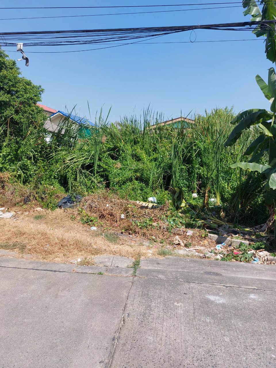 ขายที่ดิน-184ตรวา-แถวปทุมธานี-ซธรรมสุธี14-หน้ากว้างสวย-ติดถนน-ใกล้big-c-เจ้าของขายเอง