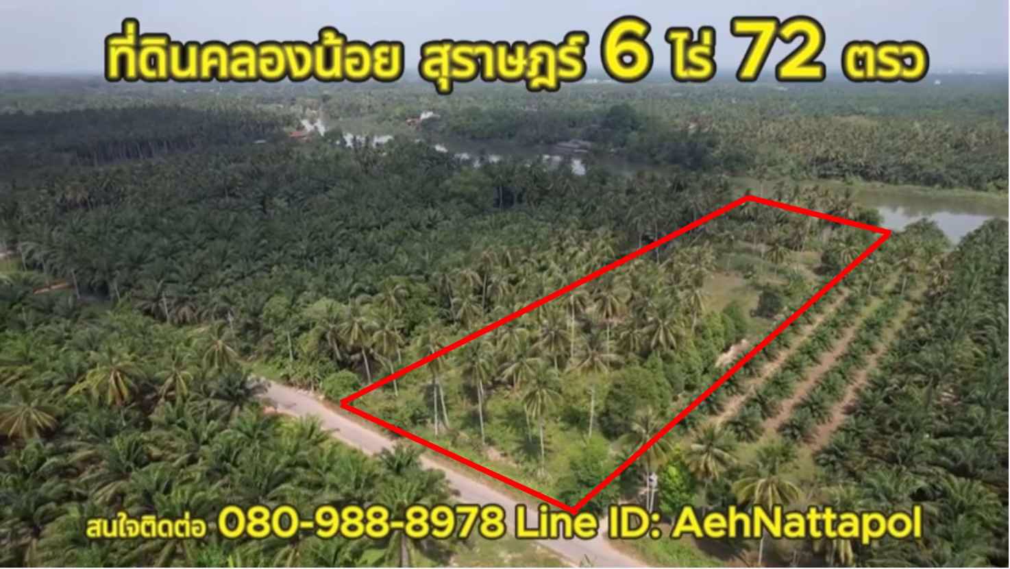 ที่ดินติดแม่น้ำแปลงสวยที่สุด-หน้าติดถนน-หลังติดคลองพุนพิน-แม่น้ำใหญ่