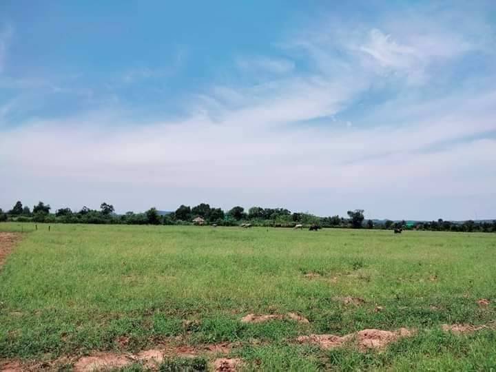 ที่ดินแบ่งขาย-เริ่มต้นที่-45000-100ตรว-มีให้เลือกหลายแปลง-วิวภูเขา-และกังหันลม