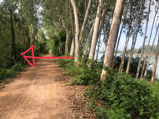 ขายที่ดินติดอ่างน้ำนิคม304-40ไร่-14ล้าน