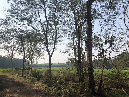 ขายที่นาหลังนิคม304-ห่างนิคม15นาที-40ไร่-6ล้าน