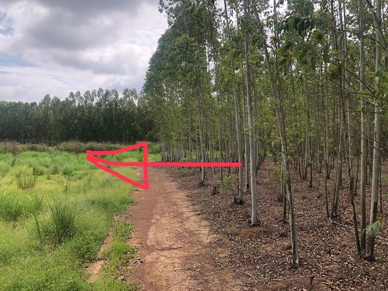 ขายที่นาหลังนิคม304-ห่างนิคม15นาที-40ไร่-6ล้าน