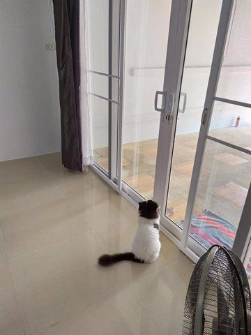 รหัสc2916-ให้เช่าทาวน์เฮ้าส์-2ชั้น-หมู่บ้านอยู่เจริญ-ใกล้-mrt-สุทธิสาร