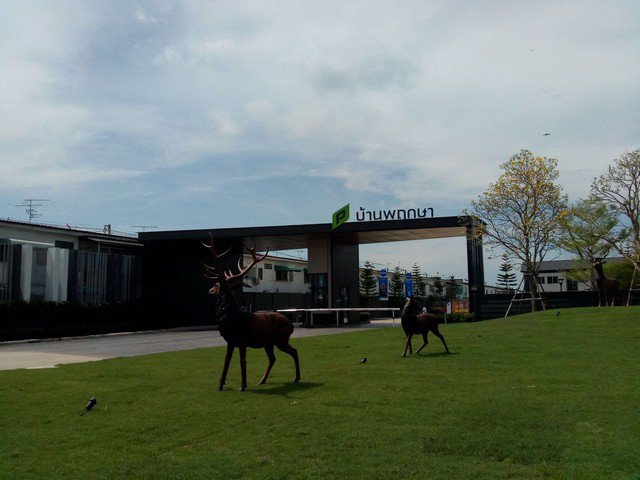 รหัสc3031-ให้เช่าทาวน์เฮ้าส์-2ชั้น-หมู่บ้านพฤกษา134-คลอง7-ถนนรังสิตนครนายก-ปทุมธานี